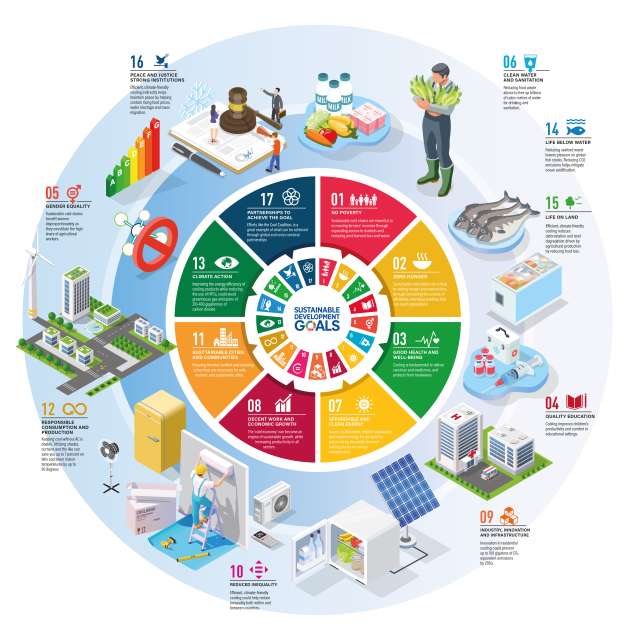 INFOGRAPHICS & ILLUSTRATIONS